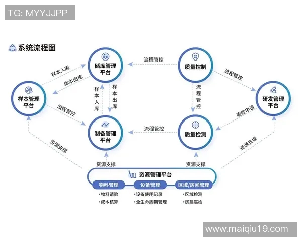 今年运动数据重庆网球队防守革新之路从传统到现代的转型与挑战